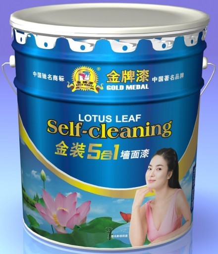 广东金牌化工有限公司